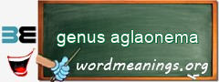 WordMeaning blackboard for genus aglaonema